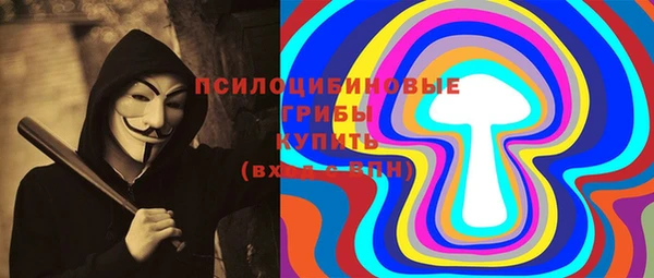 прущая мука Верея